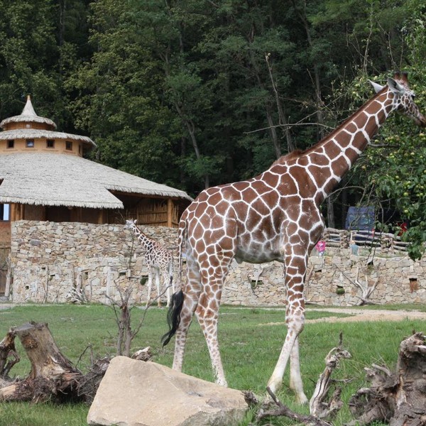 zoo_jihlava.jpg